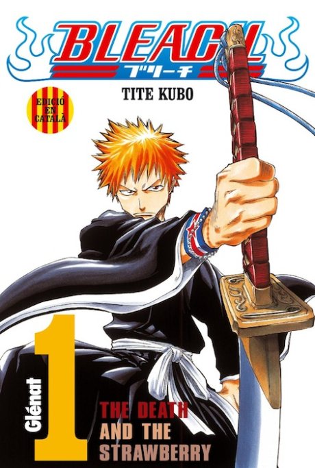 Bleach 1