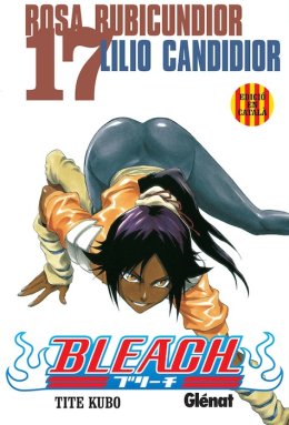 Bleach 17