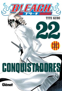 Bleach 22