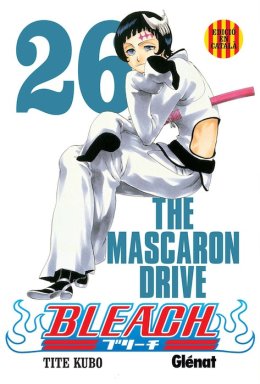 Bleach 26