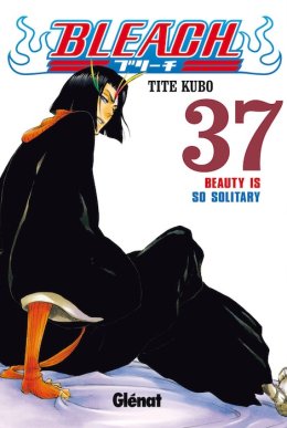 Bleach 37
