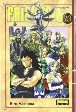 FAIRY TAIL 13
