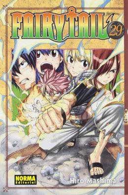 FAIRY TAIL 29