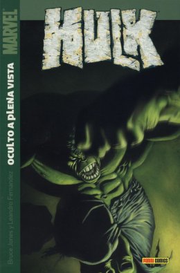 Hulk 1