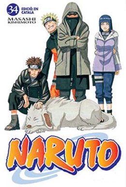 Naruto Cat. nº 34